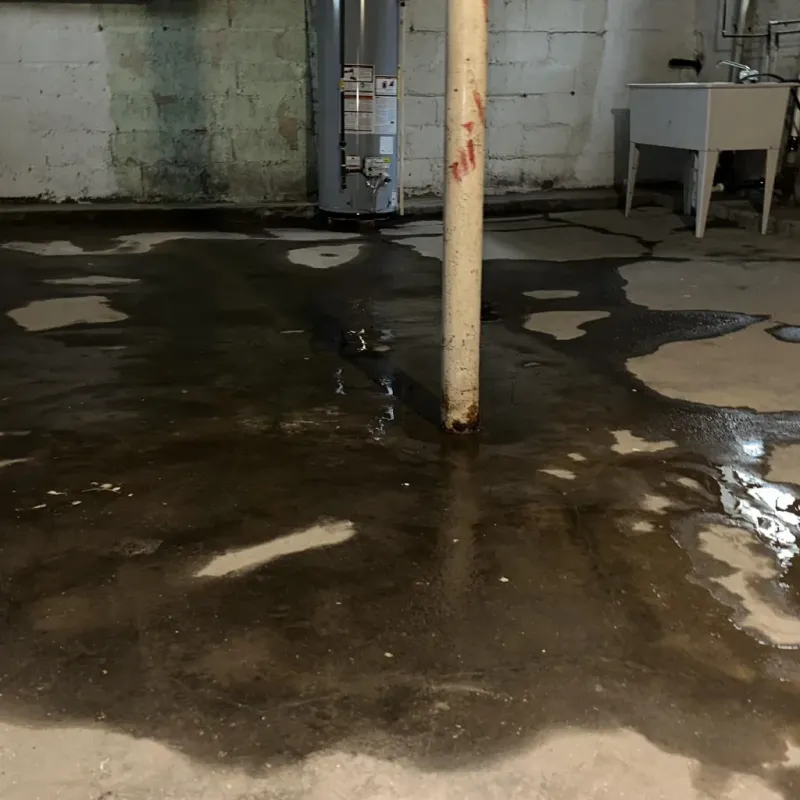 Emergency Water Extraction And Removal in Monticello, KY